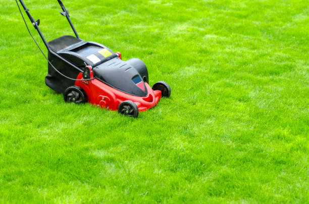 istock red lawn mower on green grass 1163678926
