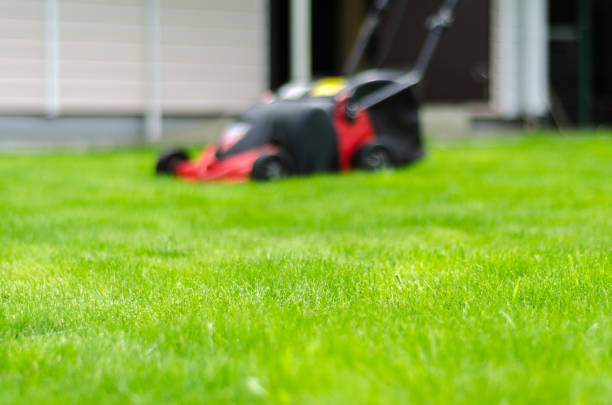 istock red lawn mower on green grass 1163678927