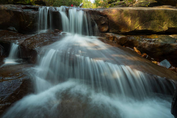 istock Scenic View Of Waterfall In Forest 1163680109