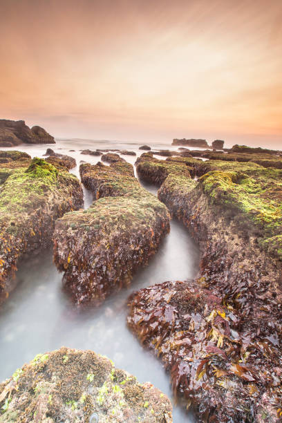 istock Scenic View Of Waterfall Against Sky During Sunset 1163682177