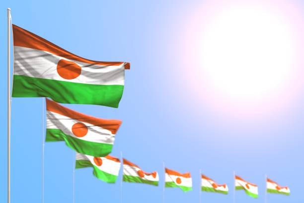 istock pretty many Niger flags placed diagonal with selective focus and free place for content - any celebration flag 3d illustration 1163682896
