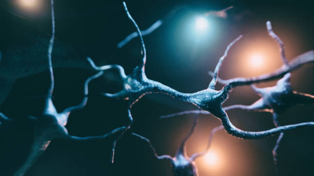 Neuron cells system Neuron cells system - 3d rendered horizontal image of neurons cells.View  interconnected neurons cells with electrical pulses. Conceptual medical image. Healthcare concept. axon terminal stock pictures, royalty-free photos & images