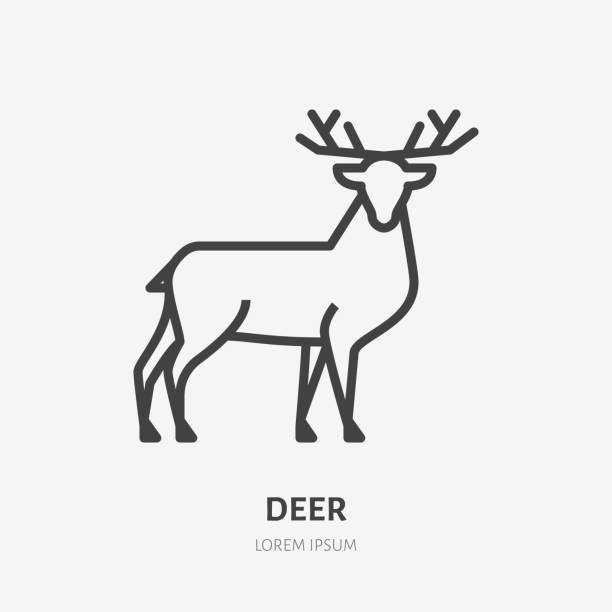 Deer flat line icon. Vector thin sign of reindeer, wild animal. Outline illustration for zoo Deer flat line icon. Vector thin sign of reindeer, wild animal. Outline illustration for zoo. doe stock illustrations