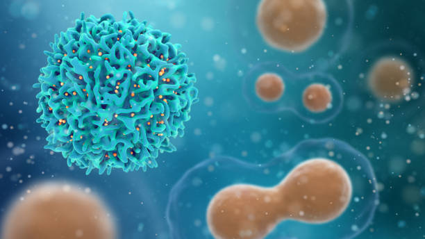 medical concept of cancer. 3d illustration of t cells or cancer cells. - antibody human immune system antigen microbiology imagens e fotografias de stock