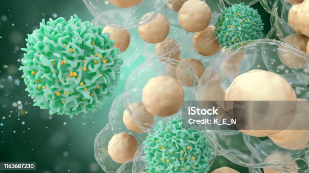 Medical Concept Of Cancer 3d Illustration Of T Cells Or Cancer Cells Stock Photo - Download Image Now