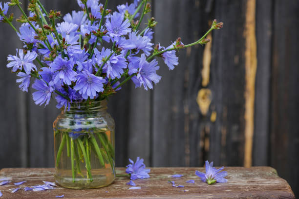 istock Chicory flowers on wooden table. 1163687244