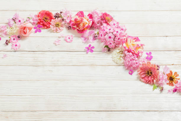 istock pink flowers on white wooden background 1163690118