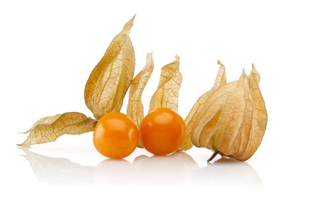 istock Physalis fruit or golden berry isolated 1163692093