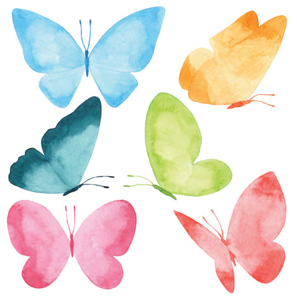 ilustraciones, imágenes clip art, dibujos animados e iconos de stock de mariposas de acuarela - isolated on white illustration and painting vector isolated