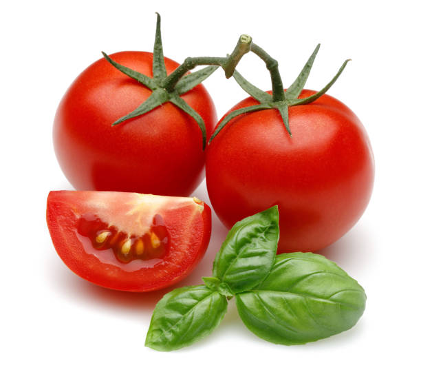 istock Fresh tomatoes and basil leaves isolated 1163695655