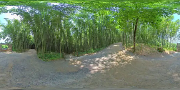 Damyang, South Korea - 24 July 2019 Juknokwon. 360 degrees spherical panorama of bamboo forest.