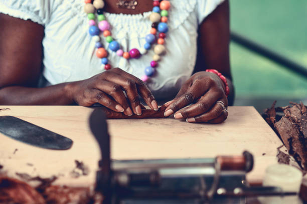 Closeup of woman hands making cigar from tobacco leaves. Traditional manufacture of cigars."nDemonstration of production of handmade cigars. Hands rolling dried and cured tobacco leaves. Closeup of woman hands making cigar from tobacco leaves. Traditional manufacture of cigars."nDemonstration of production of handmade cigars. Hands rolling dried and cured tobacco leaves. smoking women luxury cigar stock pictures, royalty-free photos & images