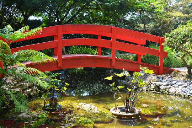 istock Japanese garden bridge 1163700346