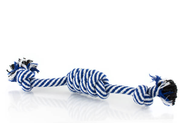 istock Chewable blue dog rope toy with knots. isolated on white background. 1163700558