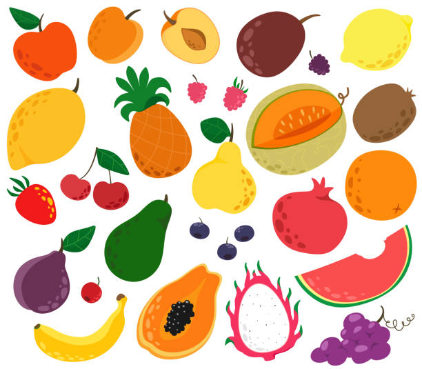 duży zestaw owoców w stylu kreskówki. piękny i koncepcyjny owoc. izoluje wektor na białym tle. - grape nature design berry fruit stock illustrations