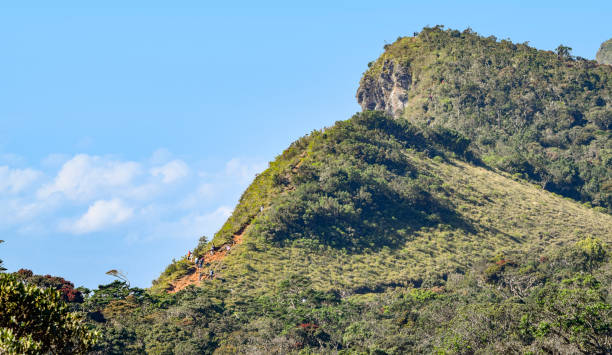 istock Impression of Sri Lanka 1163704730