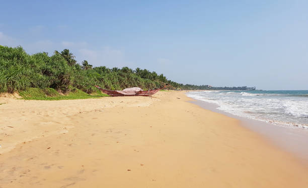 istock beach scenery at Sri Lanka 1163704799