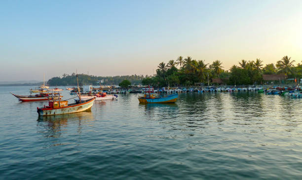 boote in sri lanka - logboat stock-fotos und bilder