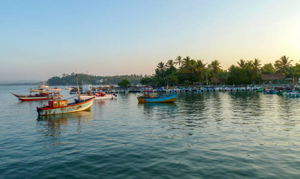 스리랑카의 보트 - logboat 뉴스 사진 이미지
