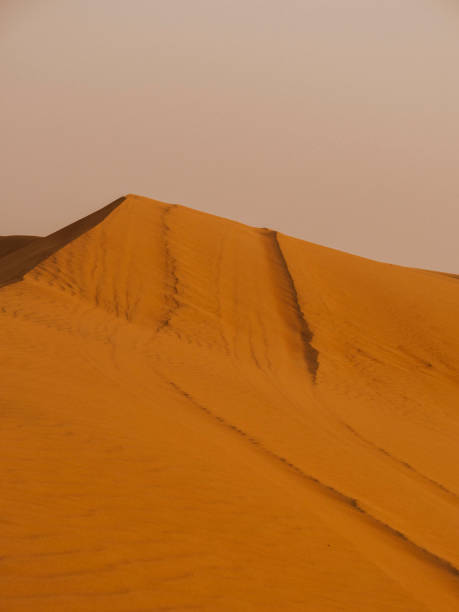 istock Dubai Desert Safari 1163704867