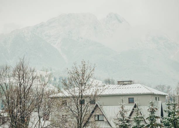 istock Foggy tatra mountains in winter with building on front. 1163705484