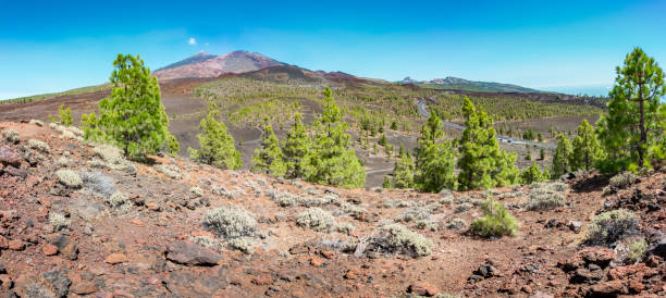 istock Amazing volcano on Tenerife 1163705520