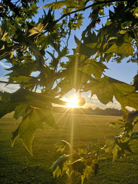 istock Sunrise, Cambridge, United Kingdom 1163705591
