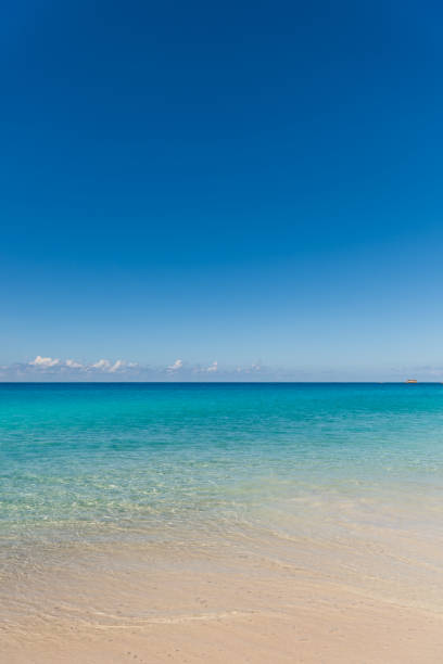 istock Tropical beach with white sand turquoise water 1163708263
