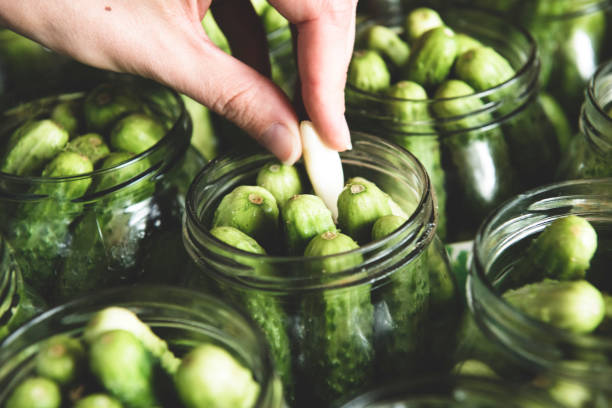 pickling cucumbers - cucumber pickled imagens e fotografias de stock