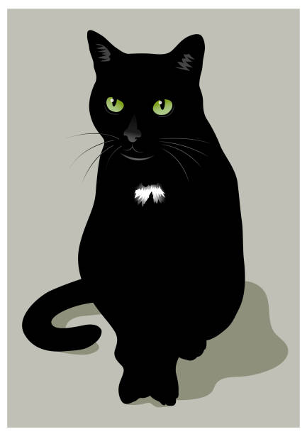 Black cat illustration A black cat on a neutral background. black cat stock illustrations