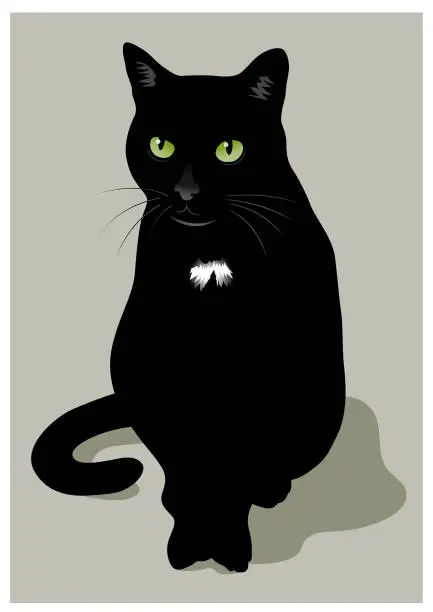 Vector illustration of Black cat illustration