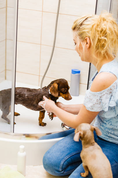 istock Woman showering her dog 1163709983