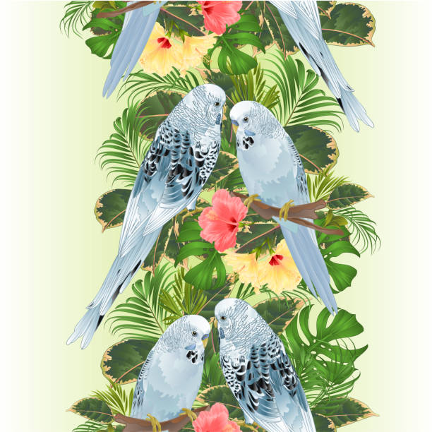Vertical border seamless background birds Budgerigars, home pets ,parakeets on a branch bouquet with tropical flowers hibiscus, palm,philodendron vintage vector illustration editable Vertical border seamless background birds Budgerigars, home pets ,parakeets on a branch bouquet with tropical flowers hibiscus, palm,philodendron vintage vector illustration editable hand draw blue budgies cartoons stock illustrations