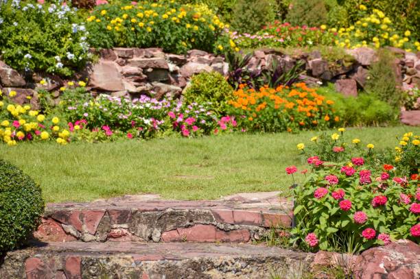 istock beautiful flower in nature garden 1163712451