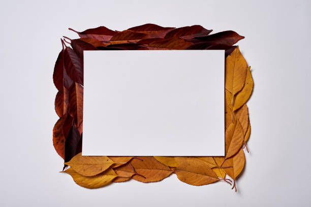 istock Autumn composition. Frame made of blank paper, yellow and red leaves on white background. Fall concept. Autumn thanksgiving texture. Flat lay, top view, copy space 1163712610
