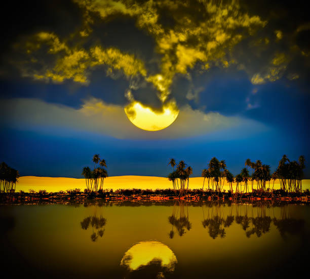 Moon over oasis in the Sahara desert stock photo