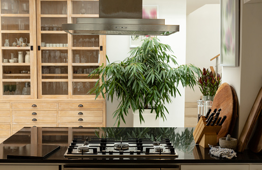 Modern kitchen interior with worktop at home. Authentic home lifestyle setting with young African American male