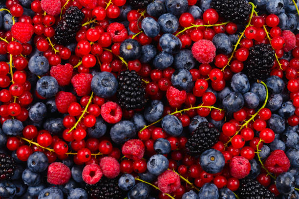 blackberry, framboise, myrtille, fond de groseille rouge et de menthe. - blackberry photos et images de collection