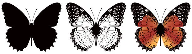 Vector illustration of Vector illustration of butterfly on white background. There are two versions, black shape and black and white