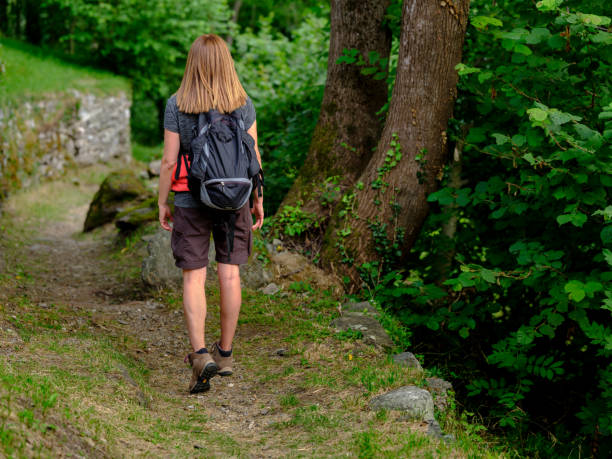 istock Hiking woman in the forest 1163724760