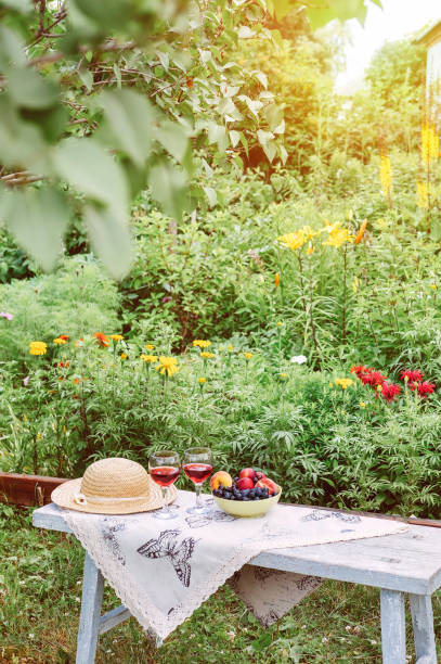 istock Wine Still Life in the garden 1163725942