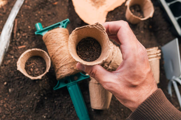 istock Biodegradable cardboard planting pot in hand 1163726038