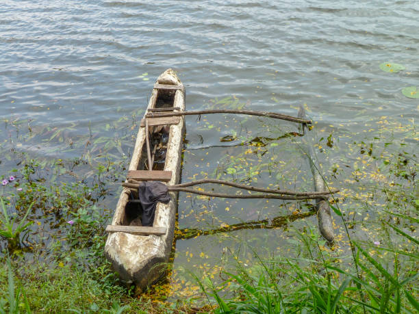 dugout kanu - logboat stock-fotos und bilder