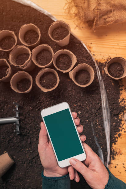 istock Smartphone mock up in hands of organic gardener 1163726421