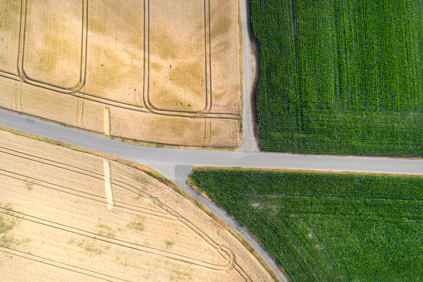 istock Agricultural area - aerial view 1163727274