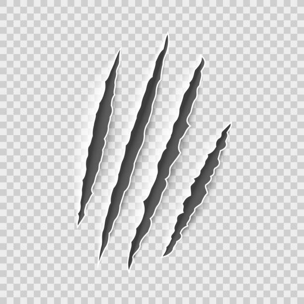 Claw marks. Claws scratches, cat and tiger, lion and bear animals paws attack tracks. Halloween monster, horror vector set Claw marks. Claws scratches, cat and tiger, lion and bear animals paws attack tracks. Halloween monster, horror marking vector scratching set spooky cat stock illustrations