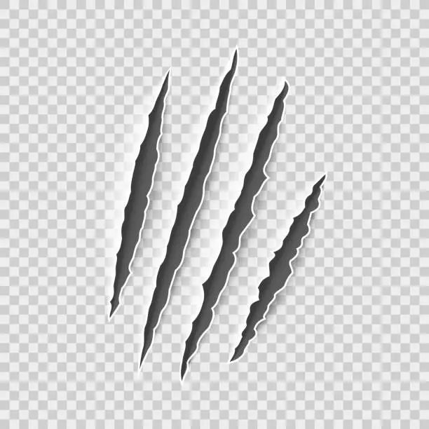 Free animal scratch Vector Images & Graphics | FreeImages
