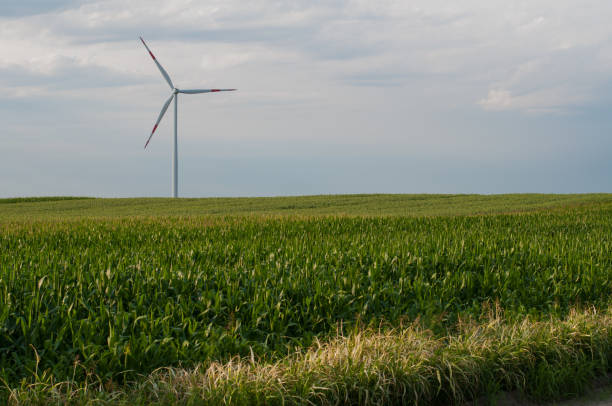 istock Windmills and sunflowers in the field. 1163731234