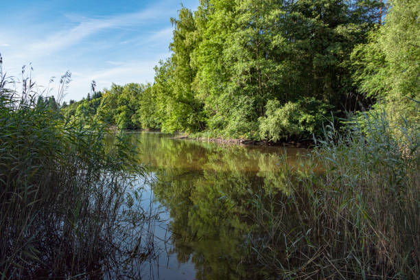 istock Losheimer Stausee, Germany, Saarland Lake in Losheim, Germany 1163731245