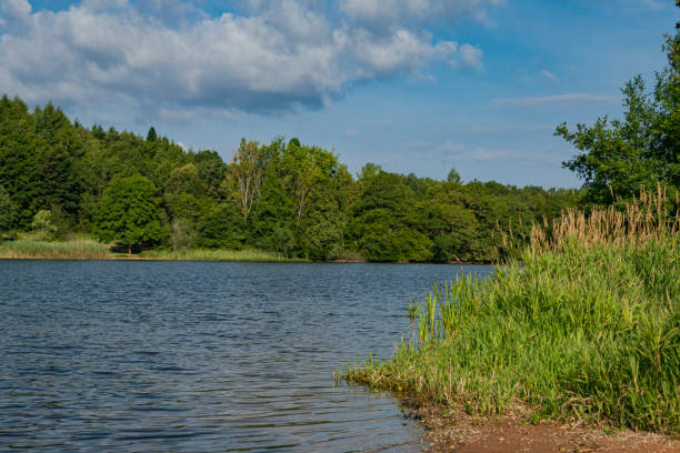 istock Losheimer Stausee, Germany, Saarland Lake in Losheim, Germany 1163732033